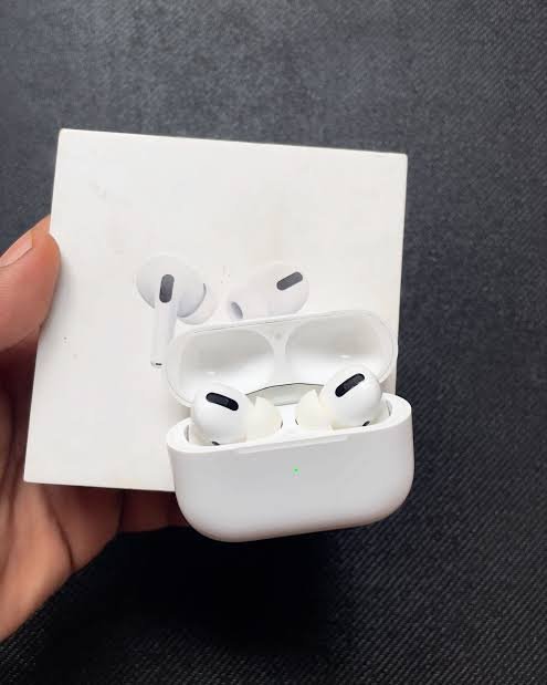 WhatsApp Image 2026-02-19 at 11.38.09 (1)